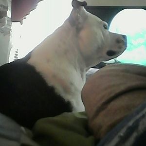 Meet your Posher, Carrie